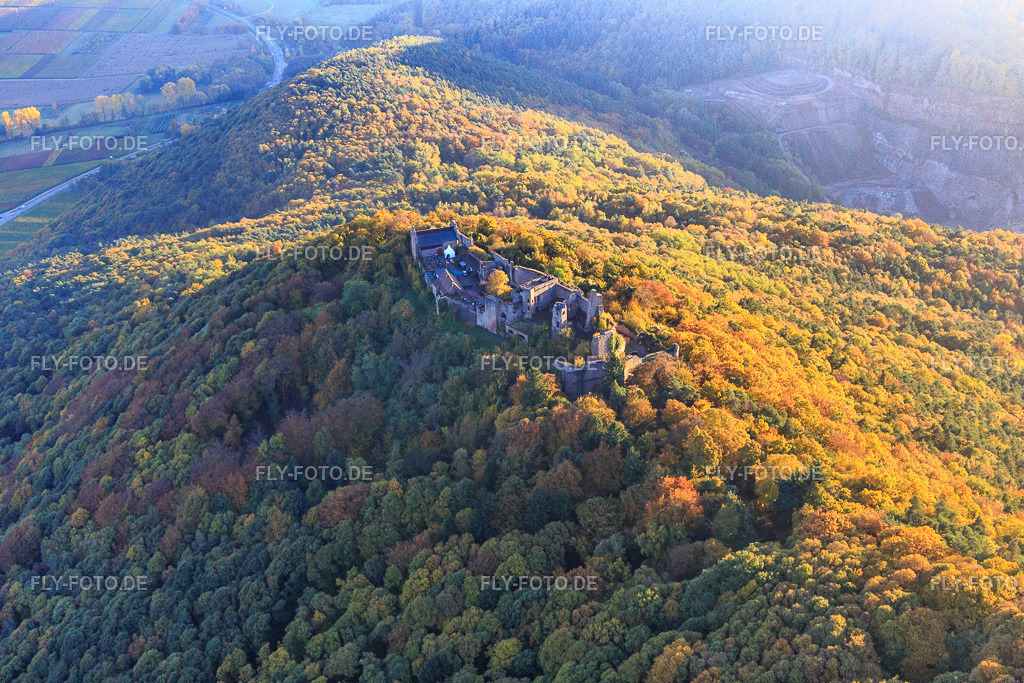 Burgruine Madenburg im herbstlichem Wald bei Abendlicht https://madenburg-pfalz.de/ | Luftbild: Burgruine Madenburg im herbstlichem Wald bei Abendlicht https://madenburg-pfalz.de/ in Eschbach im Bundesland Rheinland-Pfalz in Deutschland. Foto: IMG_095732.jpg vom 30.10.2016 durch Werner Riehm/FLY-FOTO.de - Realisiert mit Pictrs.com