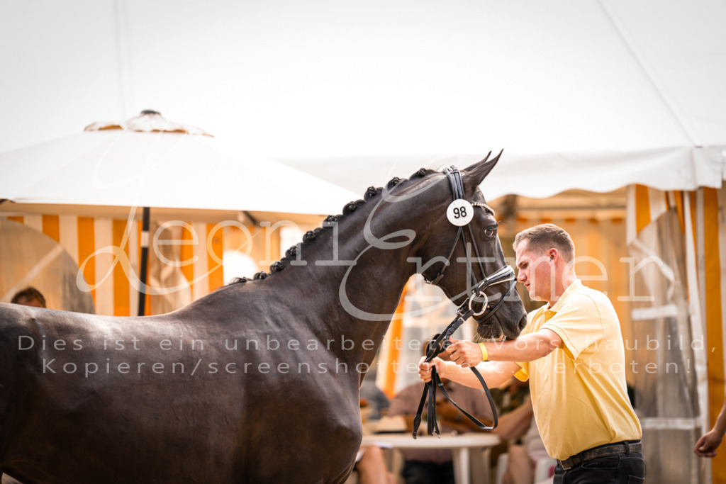 7.Fr00087 | Leoni Ertmer Photography - Realisiert mit Pictrs.com