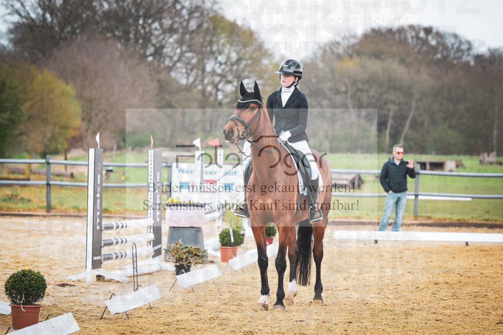 DOS_7587 | Entdecke hochwertige Reitturnierfotos von Foto Oger. Professionell, emotional und authentisch – jetzt Lieblingsmomente im Shop bestellen. - Realisiert mit Pictrs.com