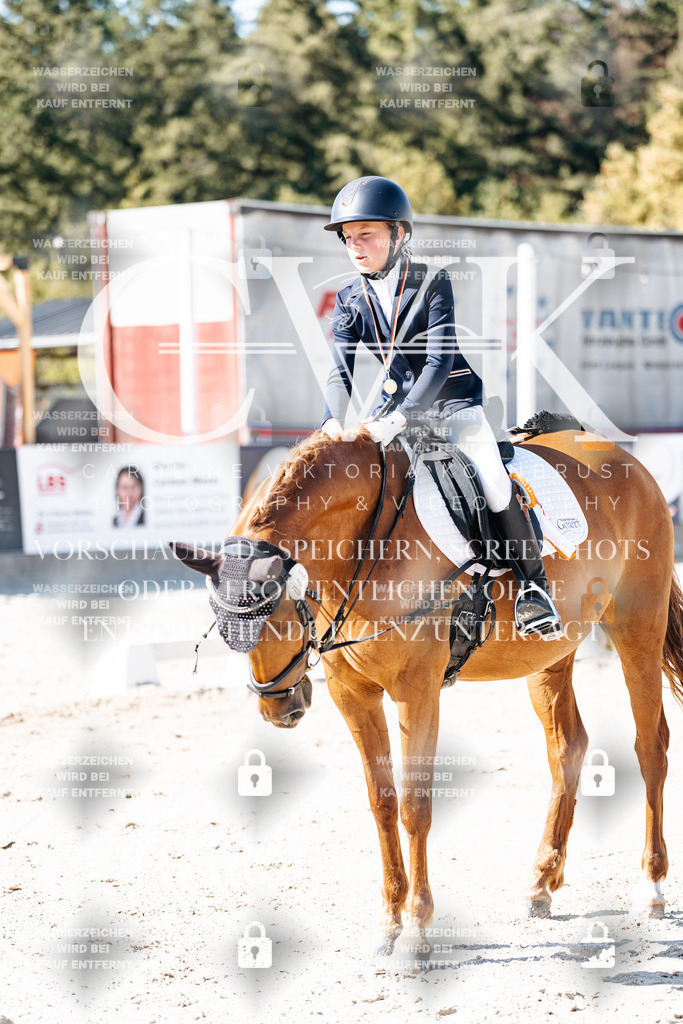 CK903219 | Turnierfotografie Pferdefotografie Trier Rheinland-Pfalz Pferdesport Reitsport Tierfotografie Sportfotografie Pferdevideo Pferdevideografie Equestrianvideography equestrianphotography  - Realisiert mit Pictrs.com