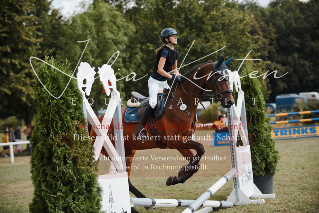 DSC_5510 | Pferde- und Turnierfotografie in Westsachsen. Pferdeportraits, Auftragszeichnungen und intuitive Kunst.