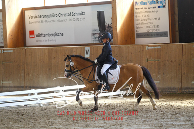 DKP45274 | Turniersportfotografie; Pferdefotografie; Dressurfotografie