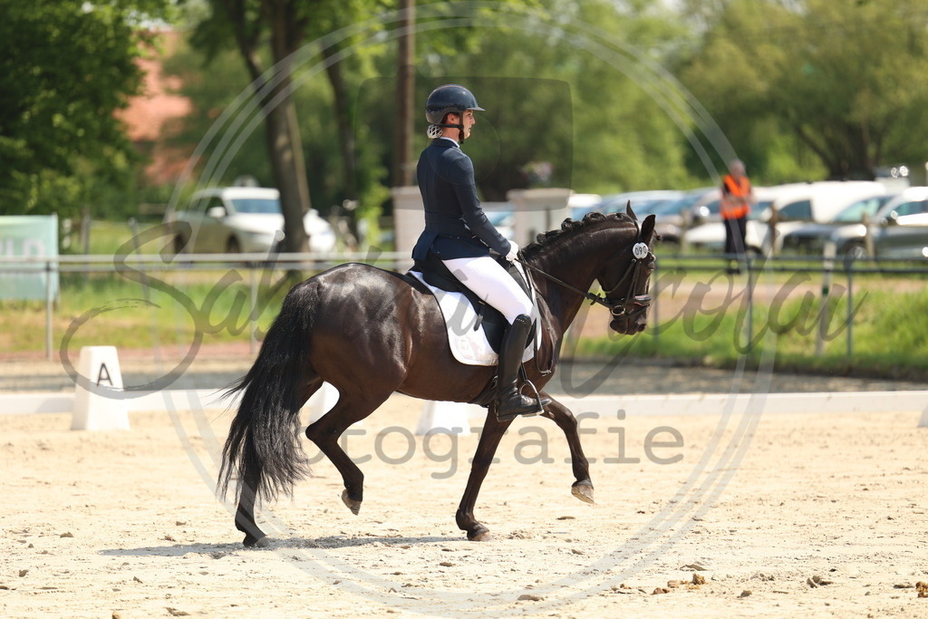 994A7219 | sabrinanicolaifotografie - Realisiert mit Pictrs.com