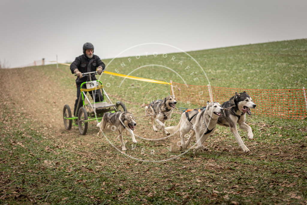 Pfotenfotografie_DV3A4470 | Hundefotografie, Tierfotograf, Pfotenfotografie, Fotoshooting Hund, Hunde Portrait, Hundesport, Hundeportraits, Heideshooting, Hunde, Sportfotograf, Hundefotograf, Turnierhundsport, THS,  - Realisiert mit Pictrs.com