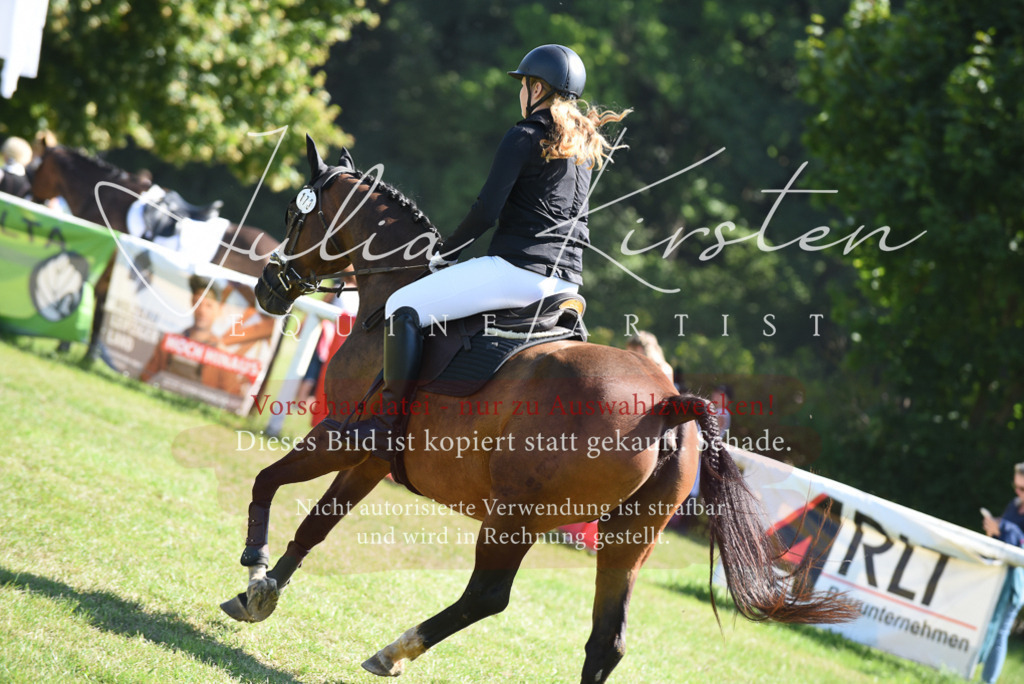 DSC_9410 | Pferde- und Turnierfotografie in Westsachsen. Pferdeportraits, Auftragszeichnungen und intuitive Kunst.