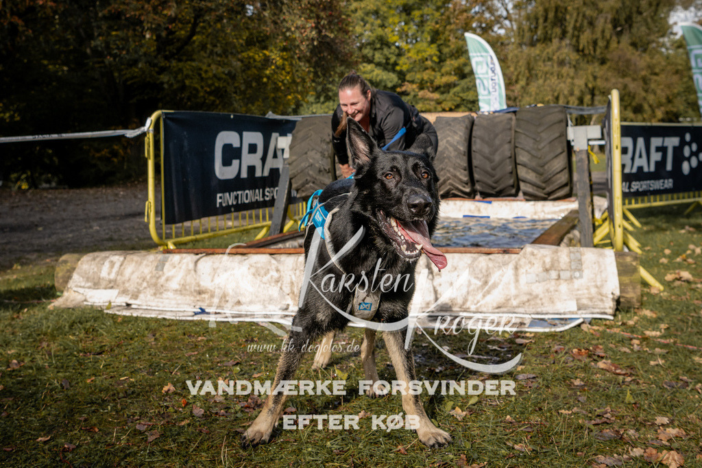 1355_ZZ93389 | kk-dogfotos