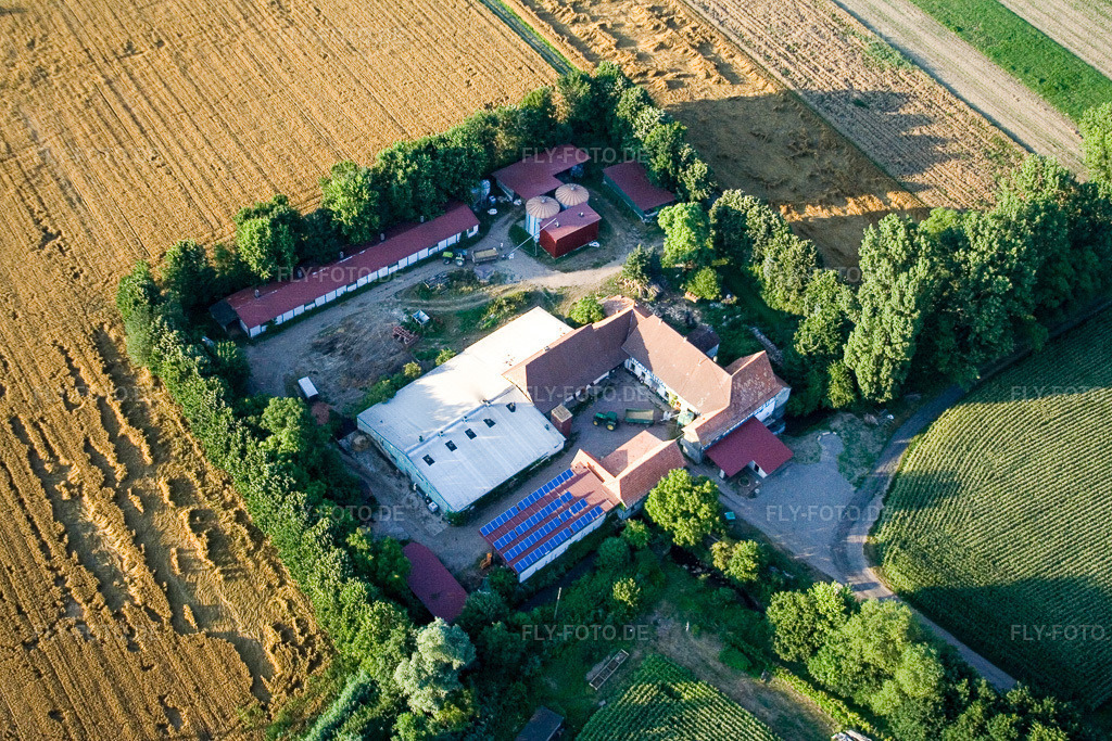 Luftbild: am Erlenbach, Leistenmühle in Kandel im Bundesland Rheinland-Pfalz in Deutschland. Foto: IMG_11783.jpg vom 25.07.2008 durch Werner Riehm/FLY-FOTO.de