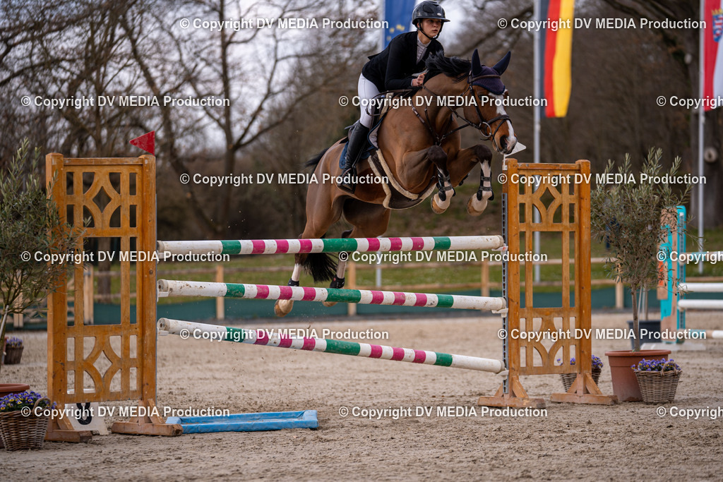 Kranichstein Tag 2-2170 | dv-media-shop - Realisiert mit Pictrs.com