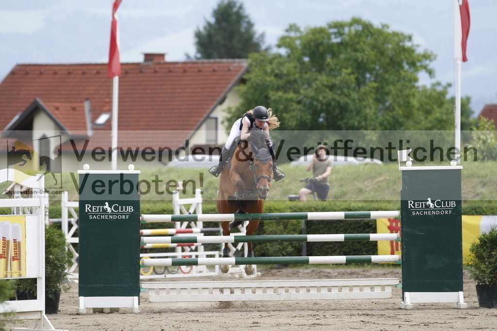 _MG_1677 | equestrian-live-com