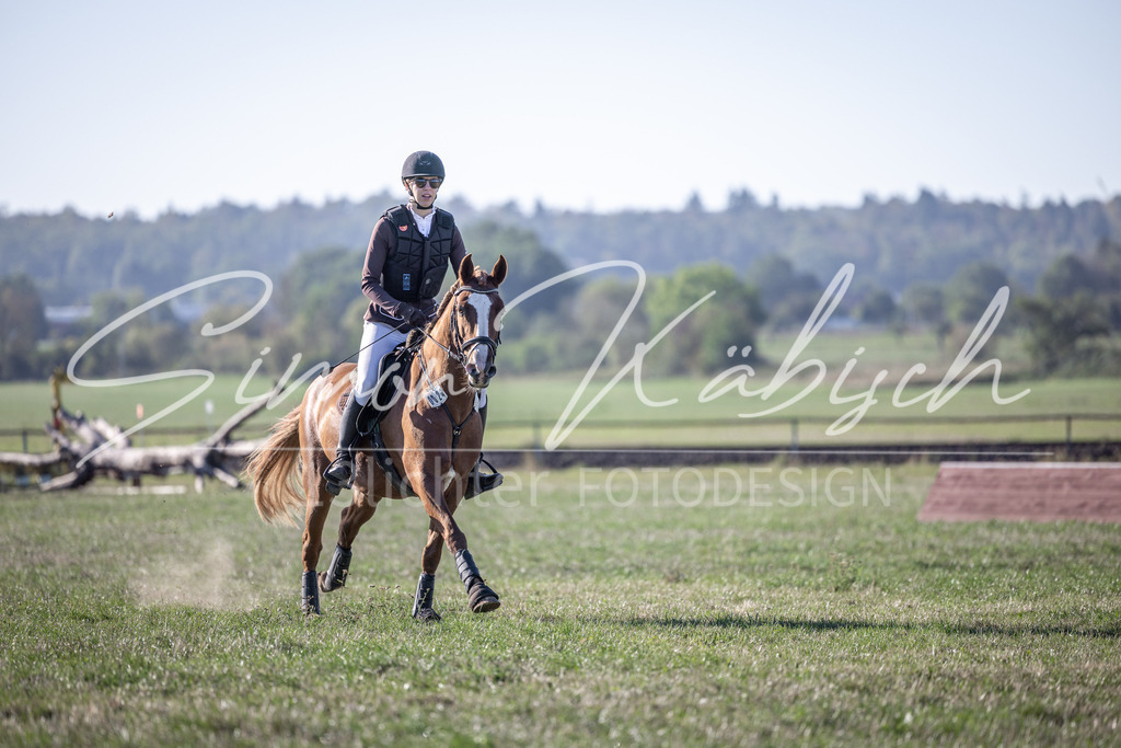 20260906-_3LI1453 | Tierfotografie Pferde, Hunde, Katzen, Haustiere.
Turnierfotografie Reitturniere, Reiten, Springreiten, Dressur in Hanau, dem Main-Kinzig-Kreis und dem Rhein-Main- Gebiet um Frankfurt