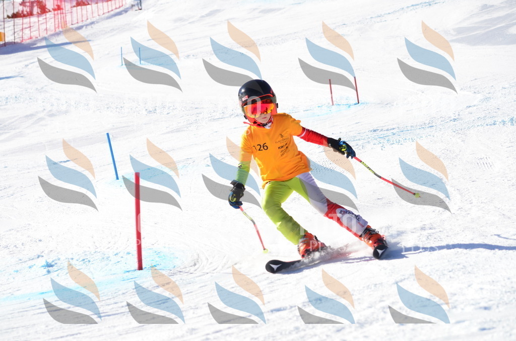 C6402 | holidayphoto