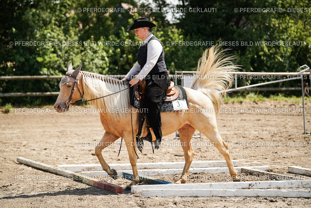 DSC06870 | Pferdegrafie