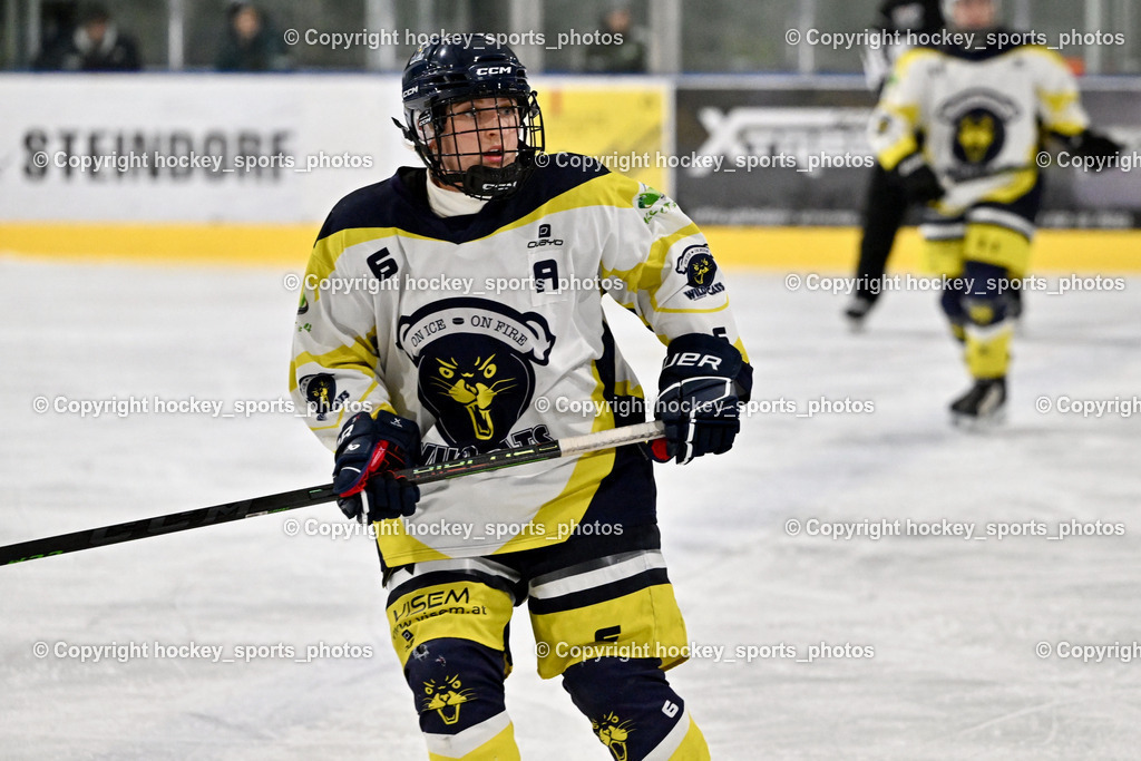 LADY HAWKS vs. WILDCATS PATERNION | #6 Jelovcan Selina WILDCATS PATERNION, LADY HAWKS vs. WILDCATS PATERNION, LADY HAWKS vs. WILDCATS PATERNION am 12.03.2025 in Steindorf (Ossiachersee Halle), Austria, (Photo by Bernd Stefan)