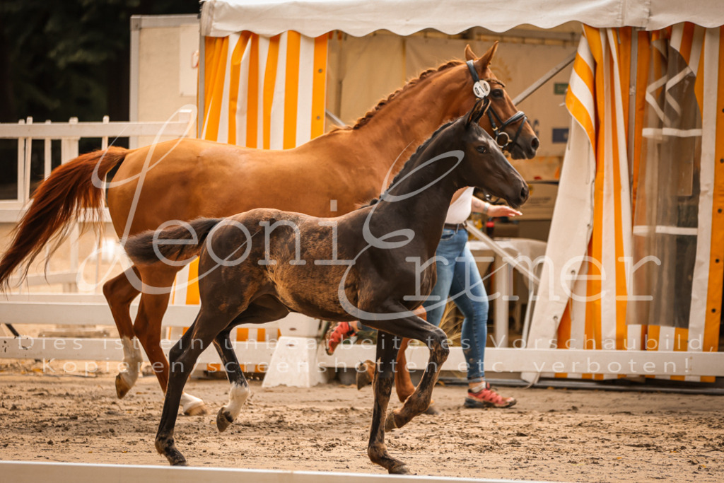 SaPA00149 | Leoni Ertmer Photography - Realisiert mit Pictrs.com