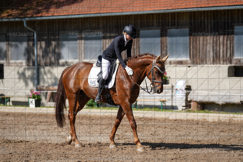 20240519-FAH04617 | Turnierbilder Niederseeon 2024, Vielseitigkeitsdressur, Reitsportbilder aus dem Landkreit Ebersberg, Gut Steinsee, RC Steinsee, Fotoagentur Herrmann