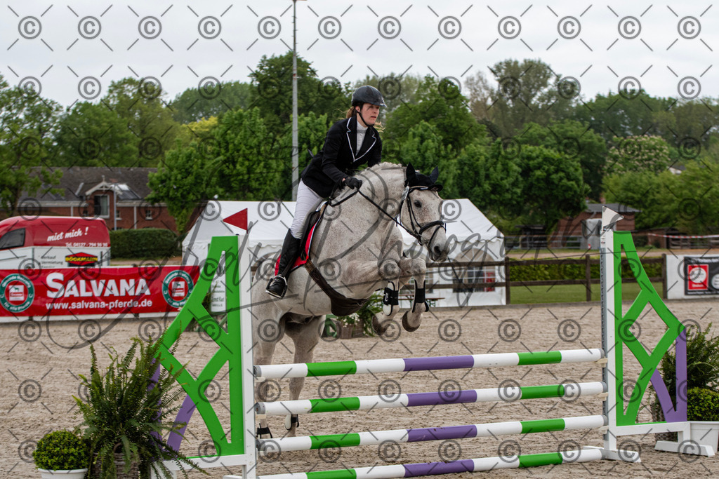 KPT_7578 | andre_photographic