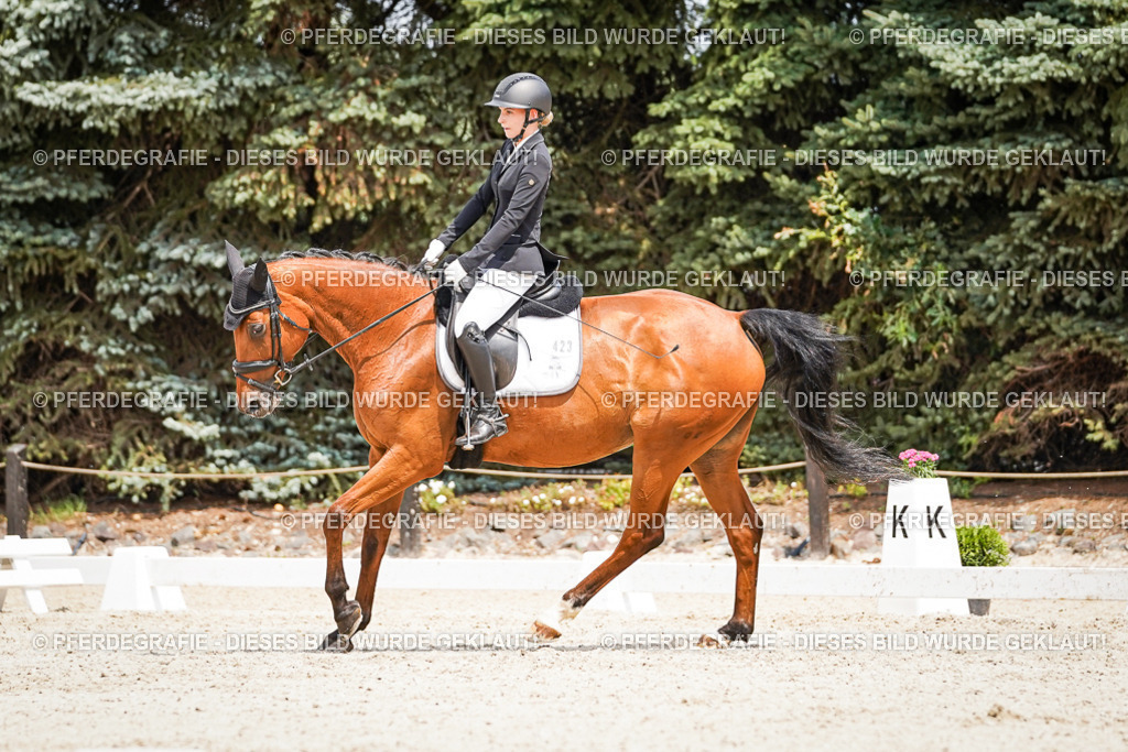 DSC03408 | Pferdegrafie