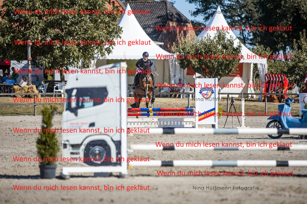 BK1A7998 | Turnierbilder Turnierfotos Nina Hüffmann Turnierfotografie Pferdefotografie Tierzeichnung Haustierzeichnung Pferdezeichnung Hundezeichnung Videograf  - Realisiert mit Pictrs.com