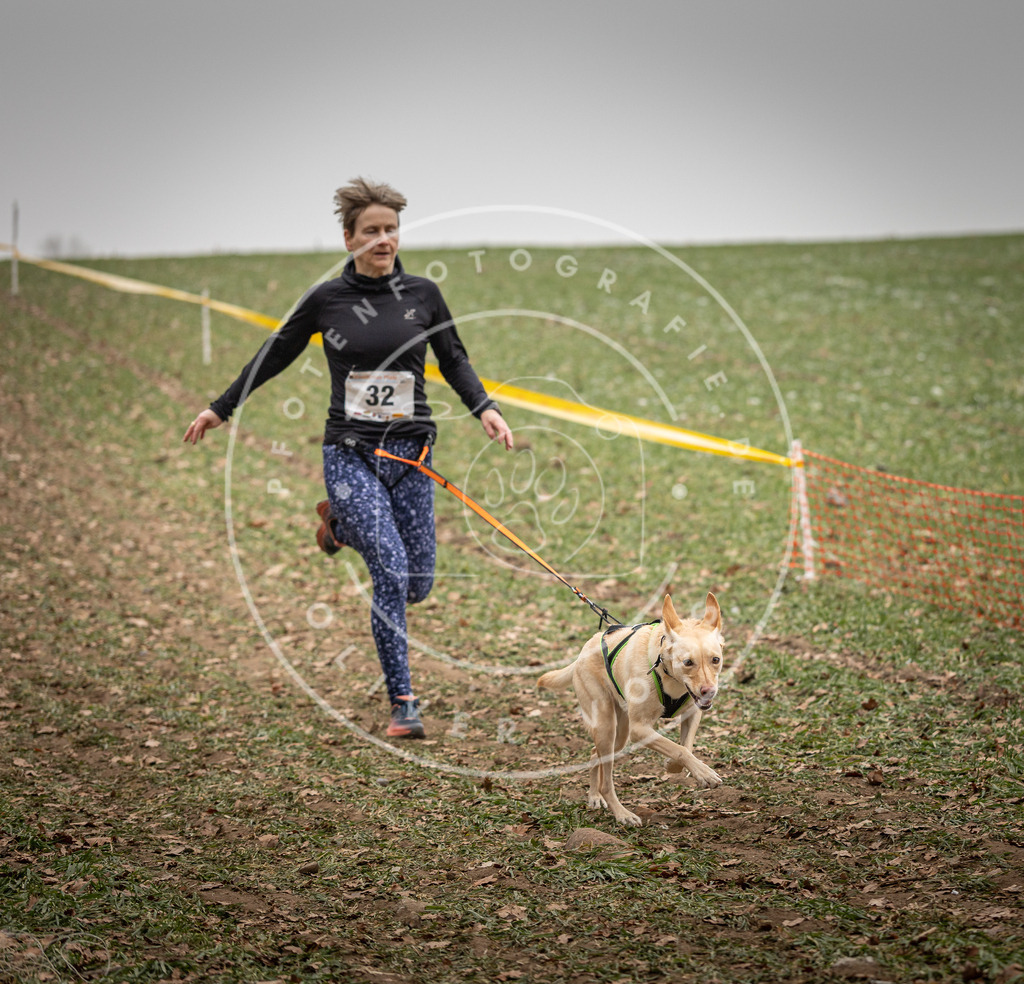 Pfotenfotografie_DV3A4923 | Hundefotografie, Tierfotograf, Pfotenfotografie, Fotoshooting Hund, Hunde Portrait, Hundesport, Hundeportraits, Heideshooting, Hunde, Sportfotograf, Hundefotograf, Turnierhundsport, THS,  - Realisiert mit Pictrs.com
