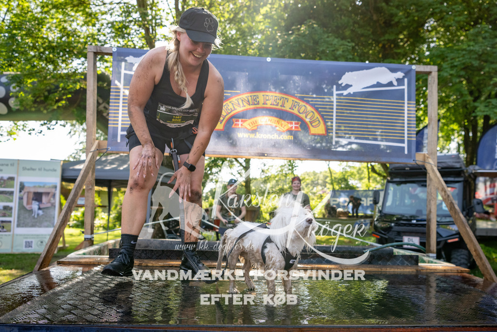 1539_ZZ92457 | kk-dogfotos