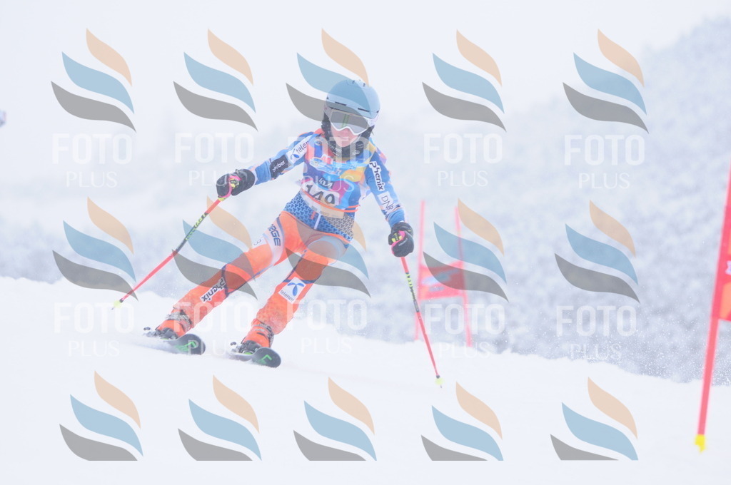 C1794 | holidayphoto