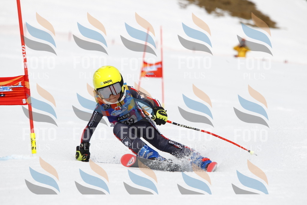 _U3G6299 | holidayphoto