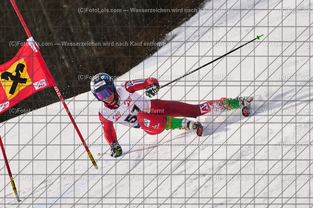 ALP8834_Herrn-FIS-GS-II_Lackenhof-WY_STEINKELLNER Jonas | Internationaler FIS GiantSlalom der Herrn auf der Distelpiste in Lackenhof am Di 11. März 2025.  Österreich, LSV-NÖ, Sportunion Waidhofen/Ybbs (2035).