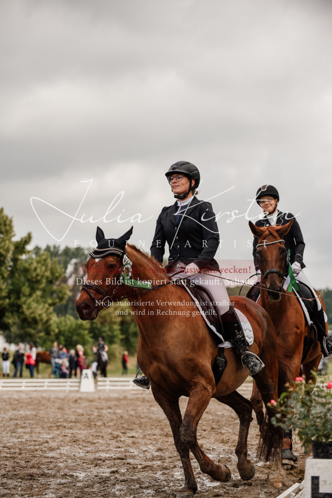 DSC_9405 | Pferde- und Turnierfotografie in Westsachsen. Pferdeportraits, Auftragszeichnungen und intuitive Kunst.