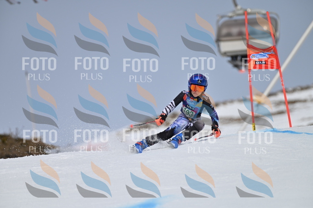 BGV_3707 | holidayphoto