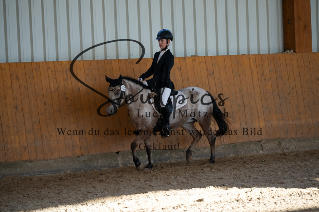 A7V01685 | Pferdefotograf