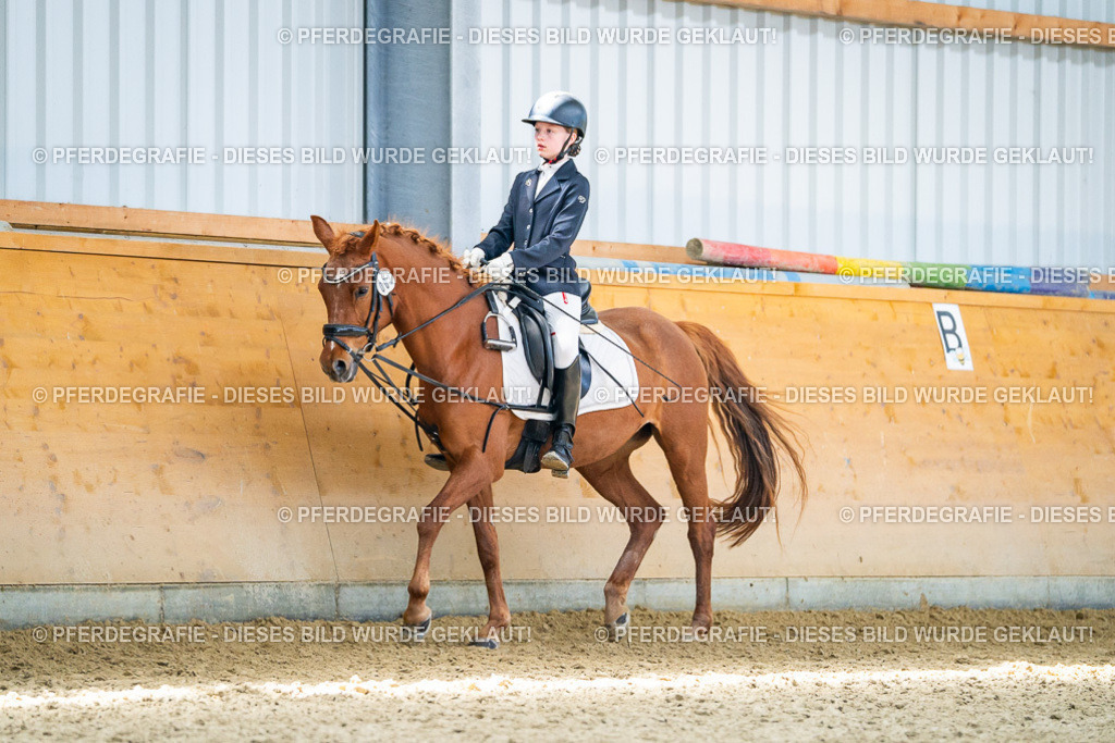 DSC03273 | Pferdegrafie