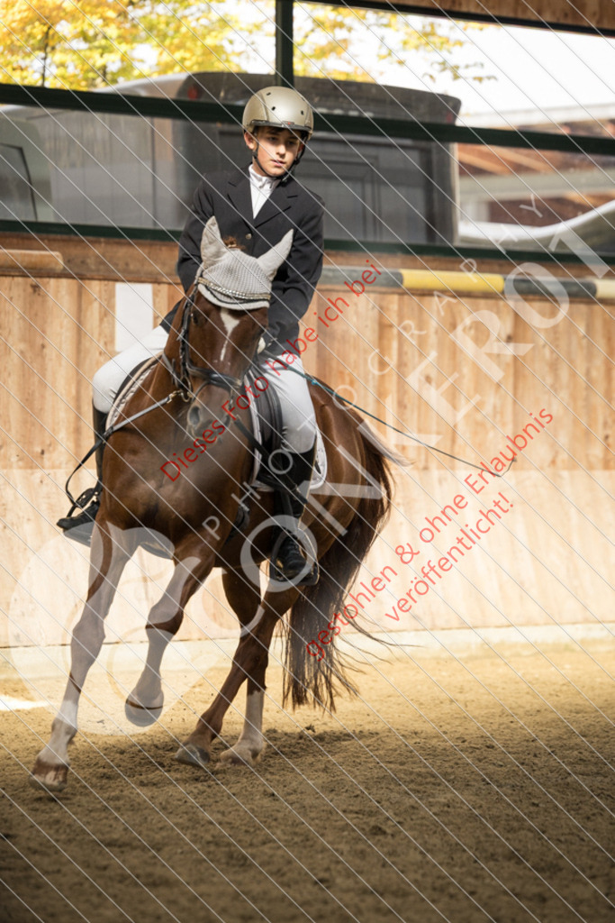 CON_6139 | Sport-, Event- und Tierfotos in Profiqualität. Einfach auswählen, bestellen und herunterladen. Dein Moment – perfekt festgehalten.
