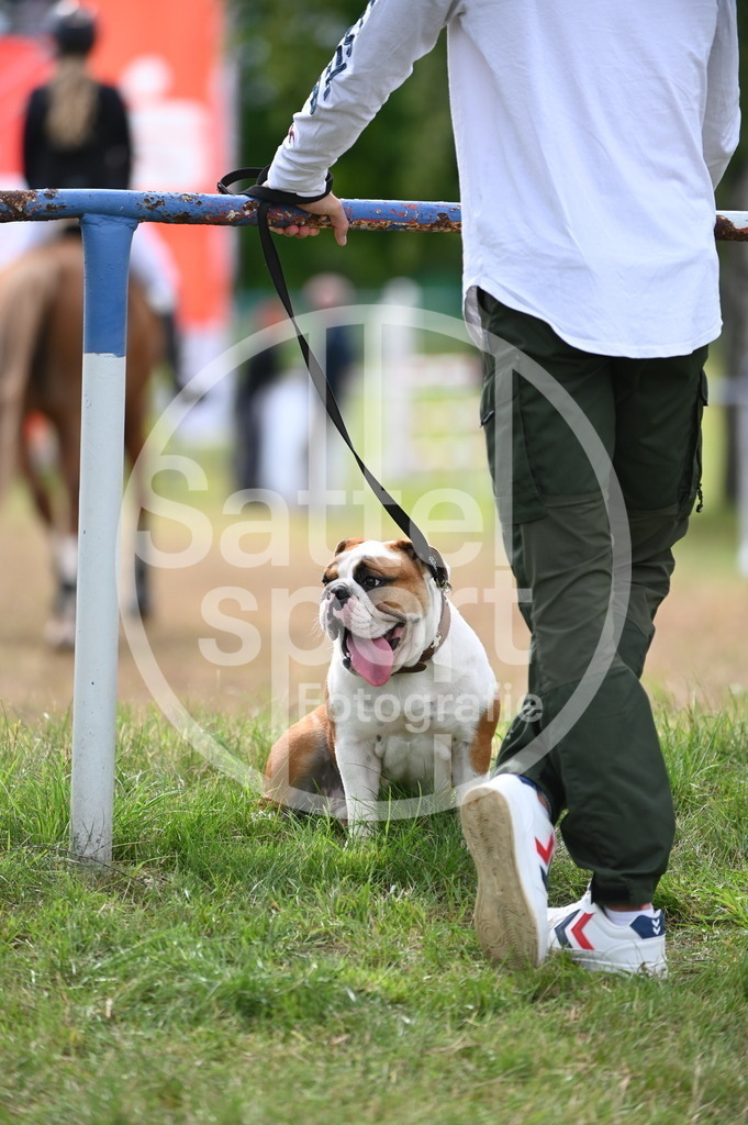 DSC_5213 | sattelsport - Realisiert mit Pictrs.com