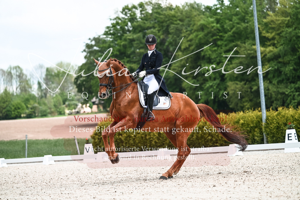 20230514_JK-Röhrsdorf-21-031 | Pferde- und Turnierfotografie in Westsachsen. Pferdeportraits, Auftragszeichnungen und intuitive Kunst.