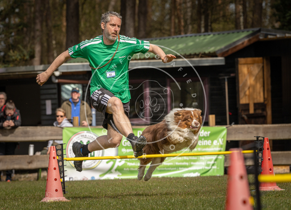 Pfotenfotografie_DV3A6629 | Hundefotografie, Tierfotograf, Pfotenfotografie, Fotoshooting Hund, Hunde Portrait, Hundesport, Hundeportraits, Heideshooting, Hunde, Sportfotograf, Hundefotograf, Turnierhundsport, THS,  - Realisiert mit Pictrs.com