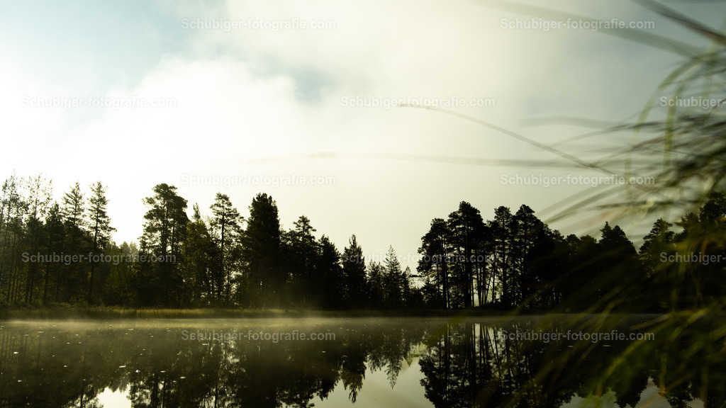 Herbststimmung | Herbststimmung mit Morgentau in Skattungbyn Schweden - Realisiert mit Pictrs.com