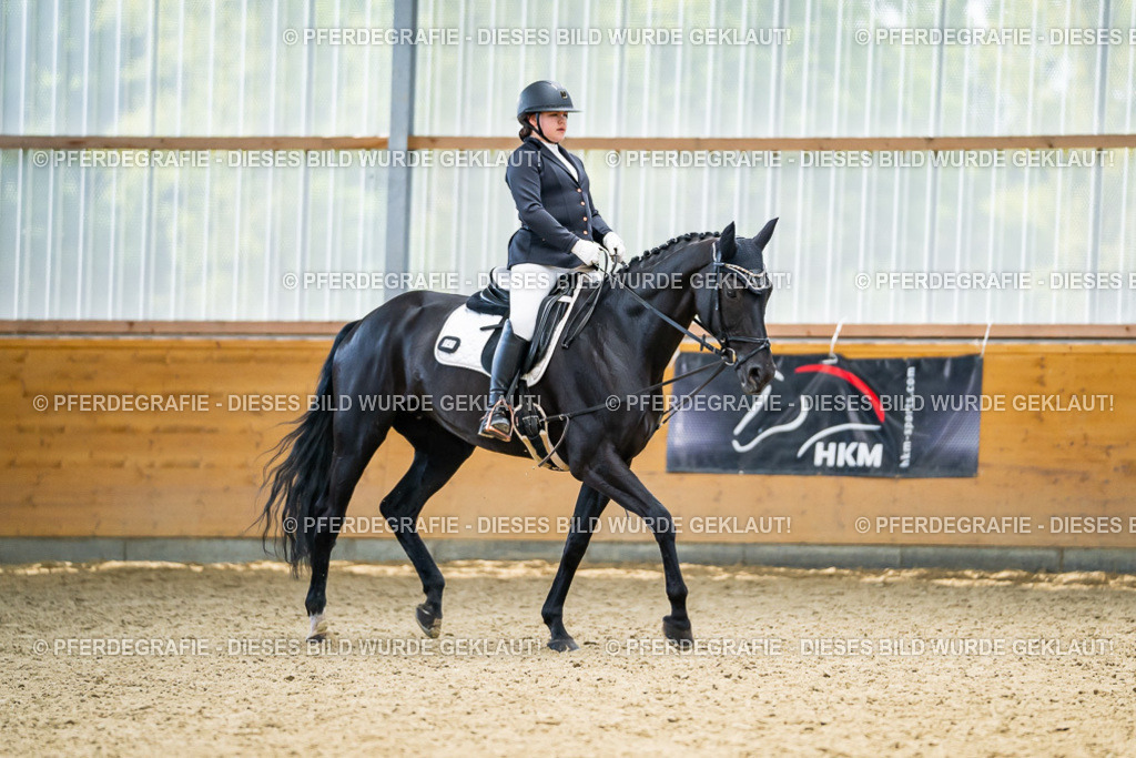 DSC04378 | Pferdegrafie