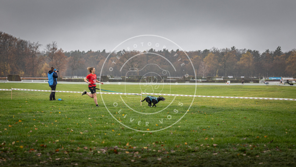 CaniXpix_DV3A8893 | Hundefotografie, Tierfotograf, Pfotenfotografie, Fotoshooting Hund, Hunde Portrait, Hundesport, Hundeportraits, Heideshooting, Hunde, Sportfotograf, Hundefotograf, Turnierhundsport, THS,  - Realisiert mit Pictrs.com