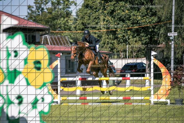 _W6A0450 | ronjaprokoschfotografie - Realisiert mit Pictrs.com