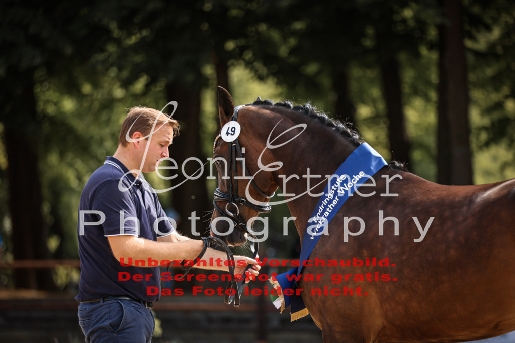 SoER00077 | Leoni Ertmer Photography - Realisiert mit Pictrs.com