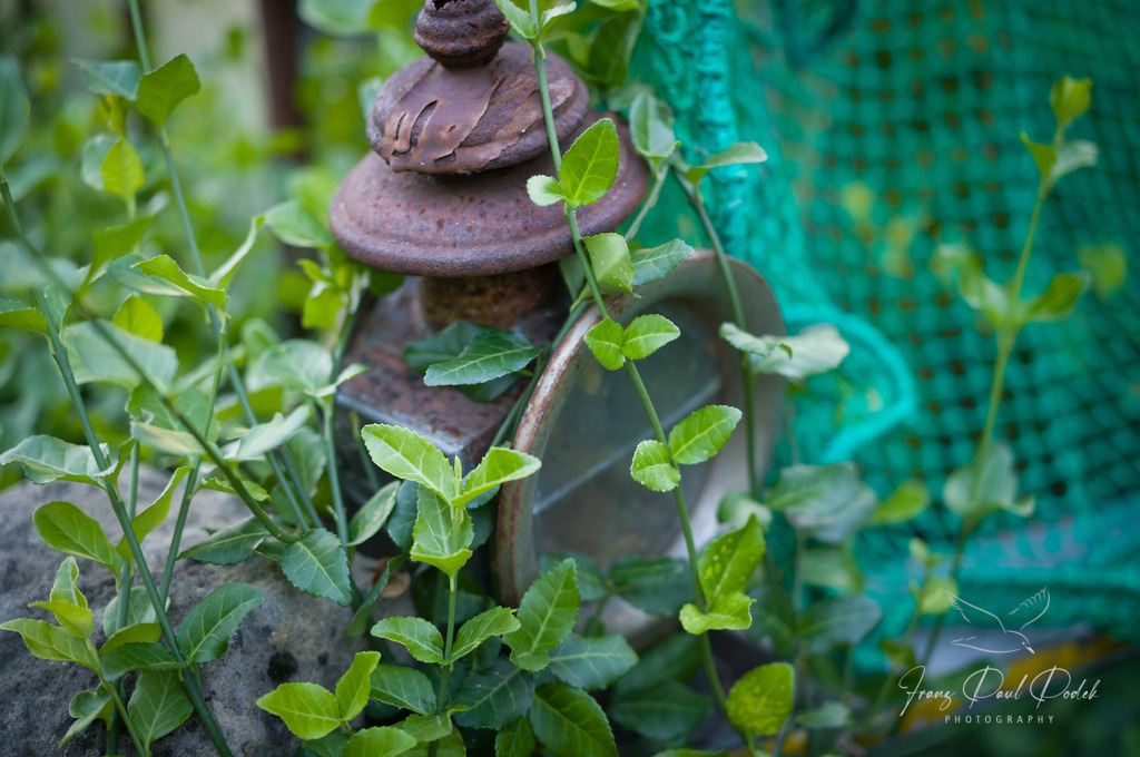 2024-08-08_20_25_52_L1007858 | Franz Podek