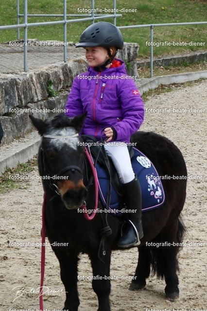 JugendTrophy1011 | Fotografie, Tiere, Hunde, Katzen, Pferde, Sportfotografie, Fotosession, Tierfotografie, Turnierfotografie, Fotografin, Fotograf - Realisiert mit Pictrs.com