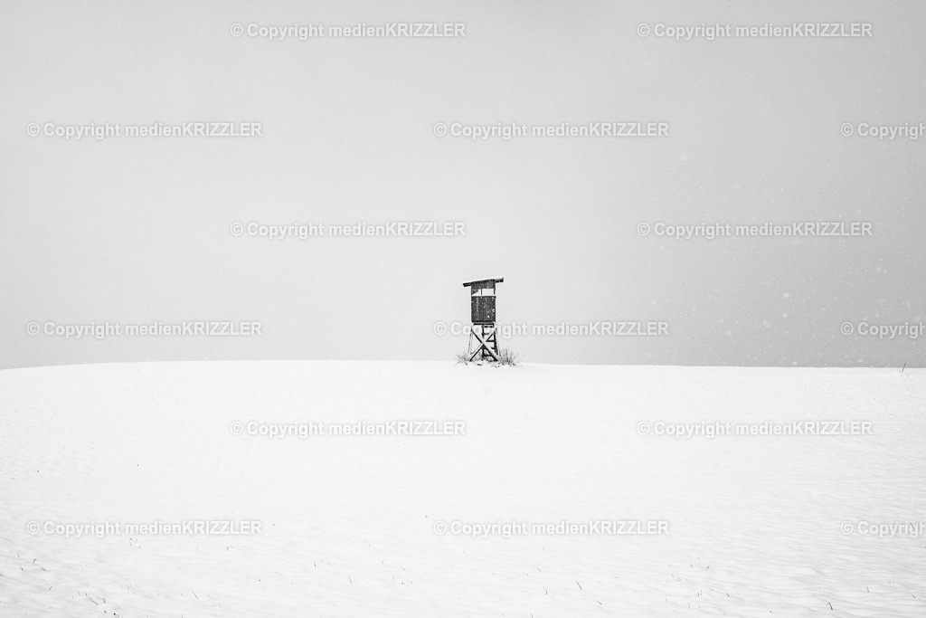 _J3A9517 | medienkrizzler - Realisiert mit Pictrs.com