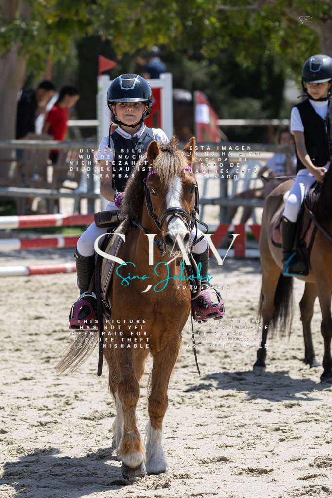 IMG_6960 | s-jay-photography - Realisiert mit Pictrs.com