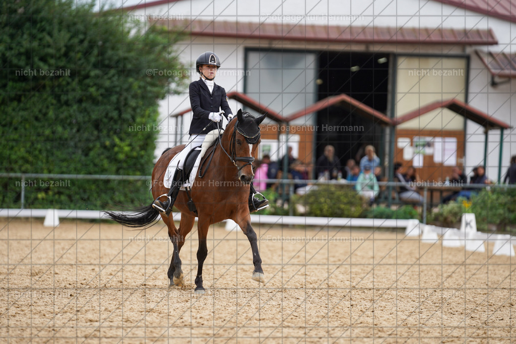 20240825-FAH00153 | Turnierbilder, Reitsportfotos, LAPO, Landesponyturnier, Turnierfotografen Bayern