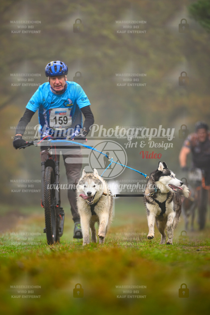 MompixPhotography_Bischwiller2025_Scooter-13 | mompixphotography