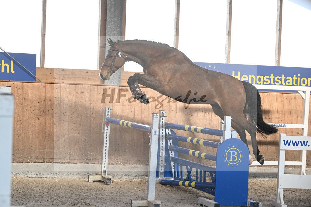Kat-Nr. 28 Vintl B v. Vigaro_Rau_14262026 | hf-fotografie - Realizzato con Pictrs.com