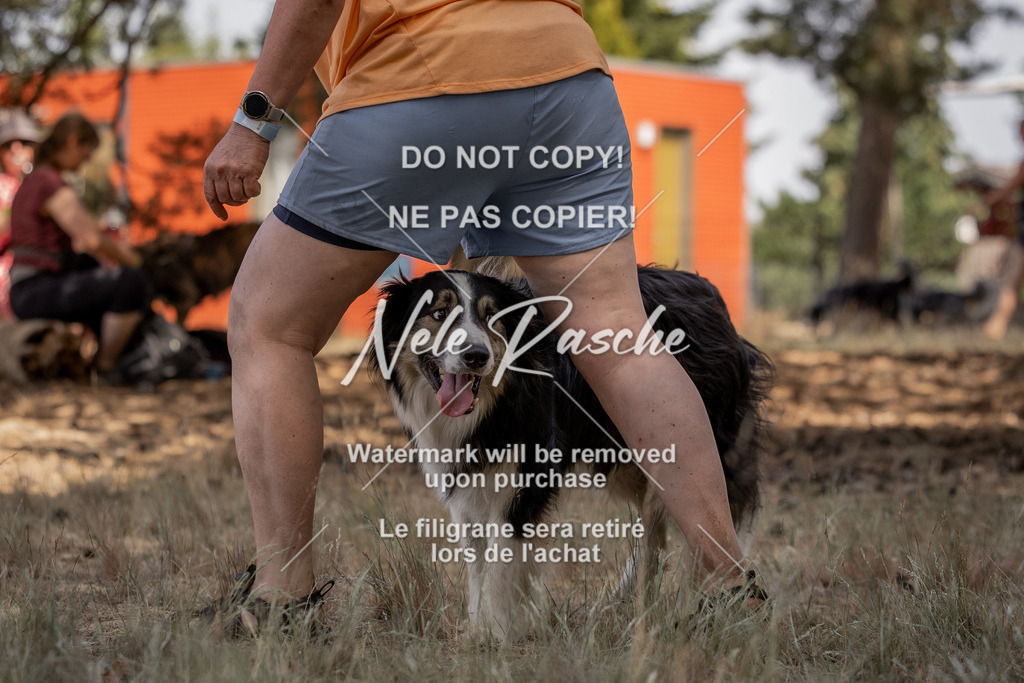 nelerasche_soDD2_446 | nelerasche