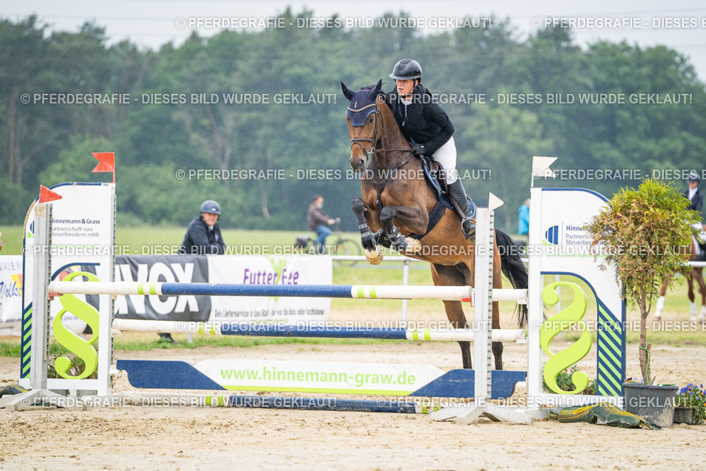 DSC00813 | Pferdegrafie