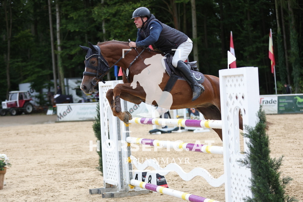0P6A9419 | Willkommen bei Brunnmayr - Design & Fotografie – Ihrem Spezialisten für Reitturniere und Pferdeveranstaltungen in Oberösterreich, Salzburg und Bayern! Seit über 17 Jahren sind wir leidenschaftlich dabei.
